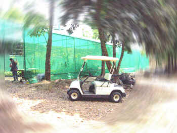 Butterfly ranching project - Wackwack Golf & Country Club - The Biggest Enclosure in the Philippines!